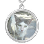 Collier gris frais d'oreilles de yeux verts de cha