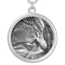 Collier noir et blanc de chat
