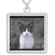Collier noir et blanc de chat