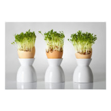 Composition en Pâques avec des verts en oeufs avec Photos Sur Toile