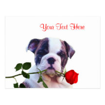 Conception de Valentine de rose rouge de chiot de  Cartes Postales