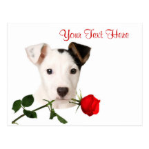 Conception de Valentine de rose rouge de Jack Russ Cartes Postales
