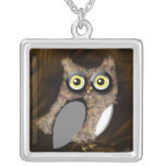 Conception mignonne de hibou bijouterie
