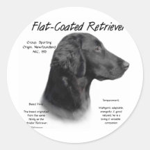 Conception Plat-Enduite d'histoire de chien d'arrê Adhésifs Ronds