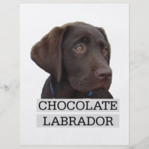 Conception unique de Labrador de chocolat ! Prospectus Customisé