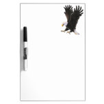 Conseil de Sec-Effacement d'Eagle chauve Tableaux Effaçables À Sec