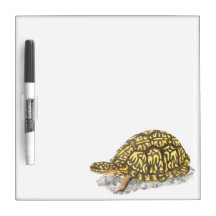 Conseil oriental de Sec-Effacement de tortue de bo