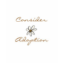Considérez la marguerite d'adoption