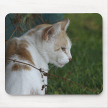 Contemplatieve Kat Mousepad Muismatten