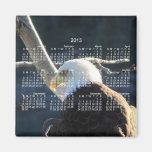 Contemplation de BEC Eagle chauve Magnets