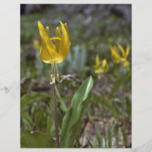 Contre la loi de la nature prospectus en couleur