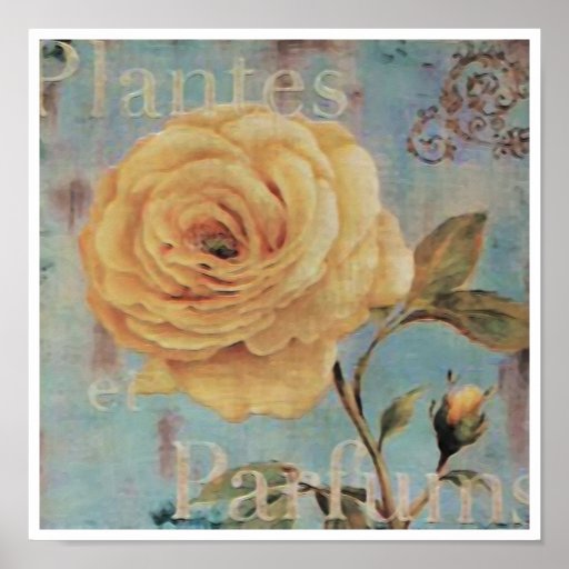 Copie/affiche de ~ de Plantes