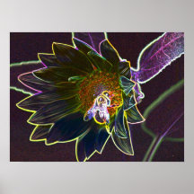 Copie au néon de tournesol posters