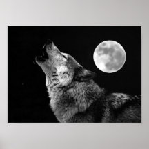 Copie d'affiche de loup gris et de lune