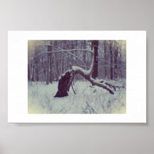 Copie d'arbre de Fae Poster