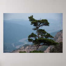 Copie d'arbre de montagne poster