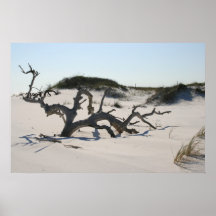 Copie d'arbre de paysage de dune de sable de plage affiche