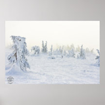 Copie d'art de profondeur de neige posters