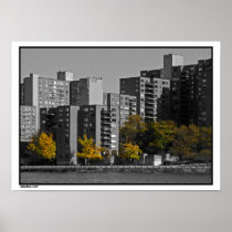 Copie d'automne d'île de Roosevelt