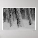 Copie de beaux-arts en bois d'hiver posters