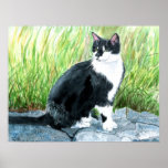 Copie de chat de smoking posters