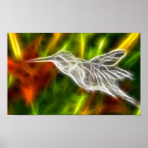 Copie de colibri de vol de Digitals Affiche