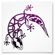 Copie de Gecko Photographe