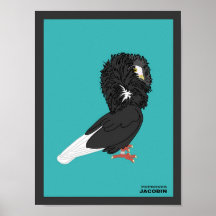 Copie de Jacobin Posters