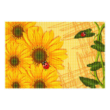 Copie de photo de tournesols