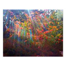 Copie de rayons de Sun