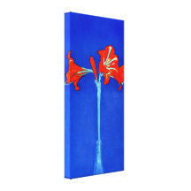 Copie de toile d'amaryllis de Mondrian Toile Tendue