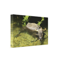 Copie de toile de carabao toiles tendues sur châssis