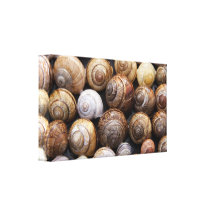 Copie de toile de coquilles d'escargot toiles tendues sur châssis