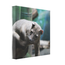 Copie de toile de Fossa Toile Tendue
