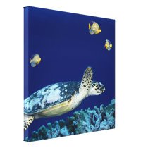 Copie de toile de tortue de mer de vie marine