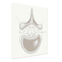 Copie de toile étirée par clinique d'épine impressions sur toile