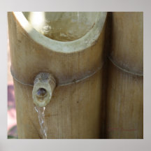 Copie en bambou d'eau froide affiches
