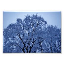 Copie externe des limites 7x5 Phototographic