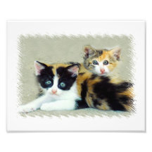 Copie faite face drôle de photo de chats