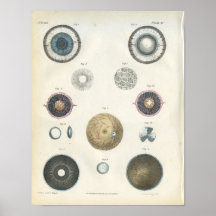 Copie interne d'anatomie d'oeil humain poster
