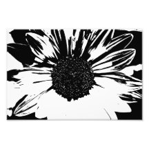 Copie noire et blanche de tournesol  tirage photo