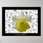 Copie personnalisable de Daffoldil d'égoutture Posters