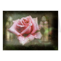 copie rose de chapelle carte de vœux