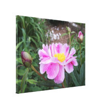 Copie rose de toile de Luau de pivoine Impressions Sur Toile