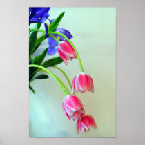 Copie rose de tulipes affiches