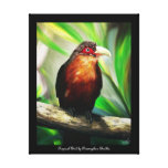 copie tropicale colorée de toile d'oiseau toiles tendues