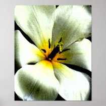 Copie tropicale de toile de fleur blanche