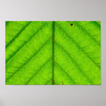Copie verte d'affiche de feuille
