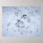 Copies d'animal dans l'affiche de neige