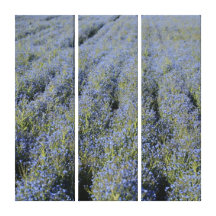 Copies de toile de triptyque de Basil doux Impressions Sur Toile
